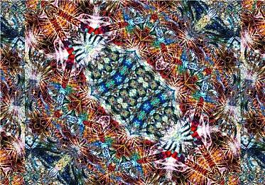 10款2025单机游戏推荐 类型多样总有你喜欢！